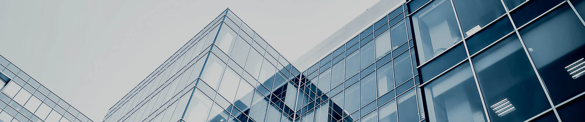 惠州市新一駿紙品有限公司